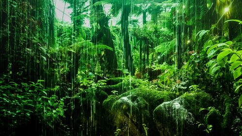 Gian Doi Ai Nguyen Si Kha • Rainy Day Memories • 2023